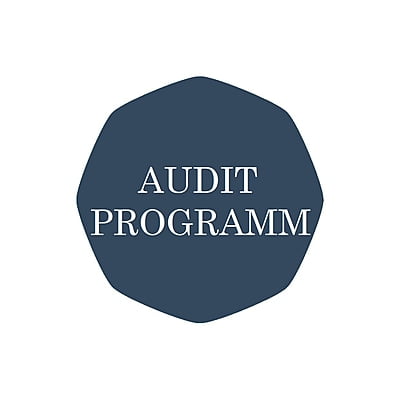 AUDITPROGRAMM (Lizenz)